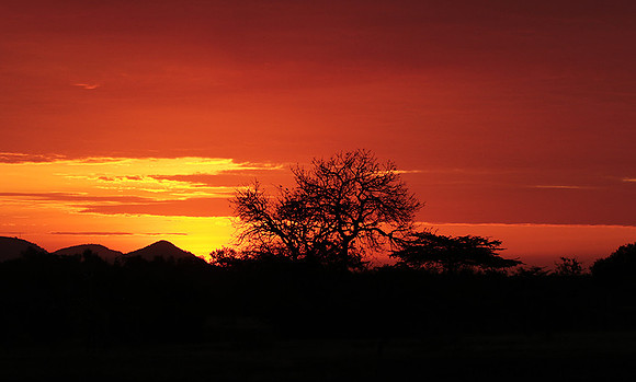 Sunset - Zelous