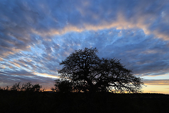 Sunset - Zelous