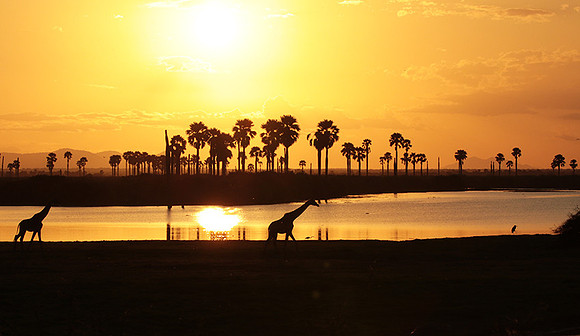 Sunset - Zelous