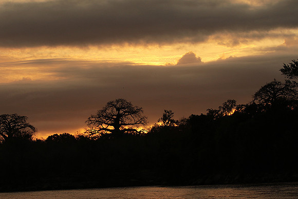 Sunset - Zelous