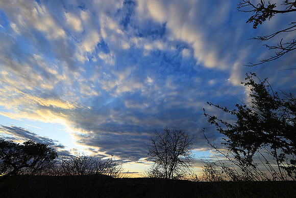 Sunset - Zelous