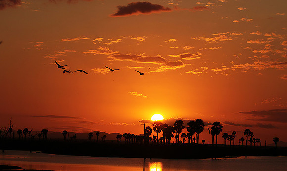 Sunset - Zelous