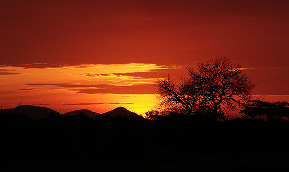 Sunset - Zelous