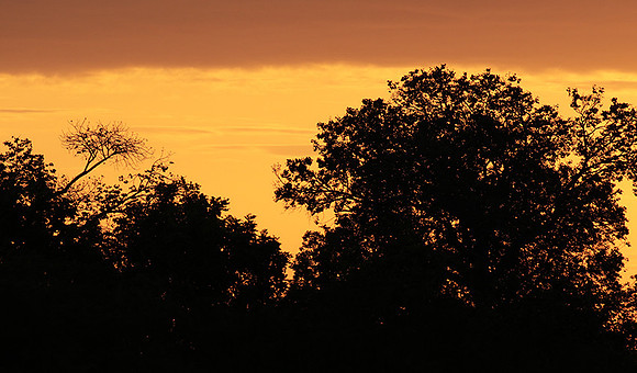 Sunset - Zelous