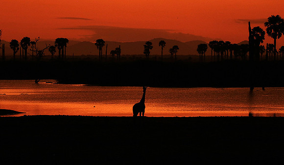 Sunset - Zelous