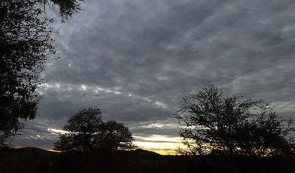 Sunset - Zelous