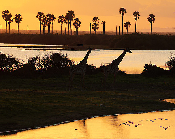 Sunset - Zelous