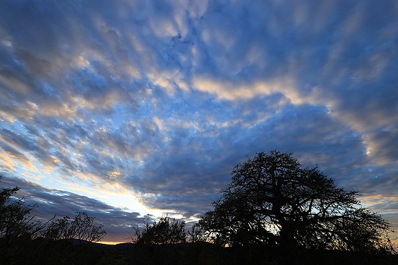 Sunset - Zelous