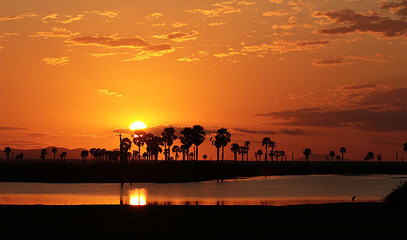 Sunset - Zelous