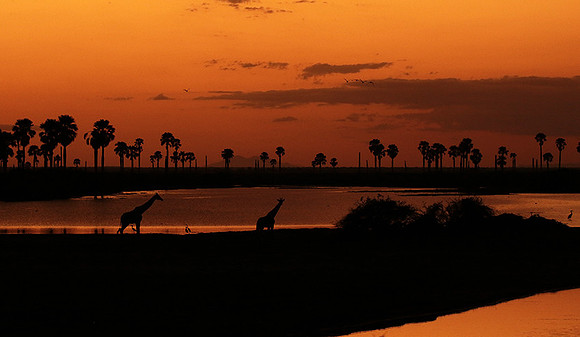 Sunset - Zelous
