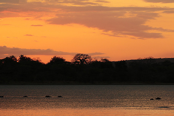 Sunset - Zelous
