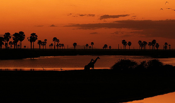 Sunset - Zelous