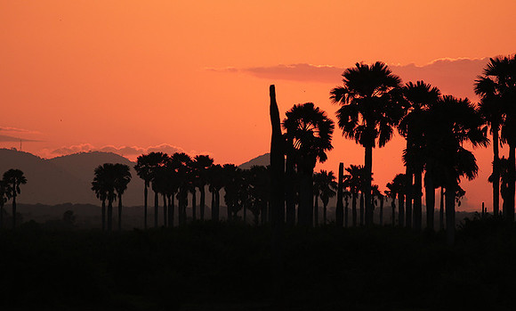 Sunset - Zelous