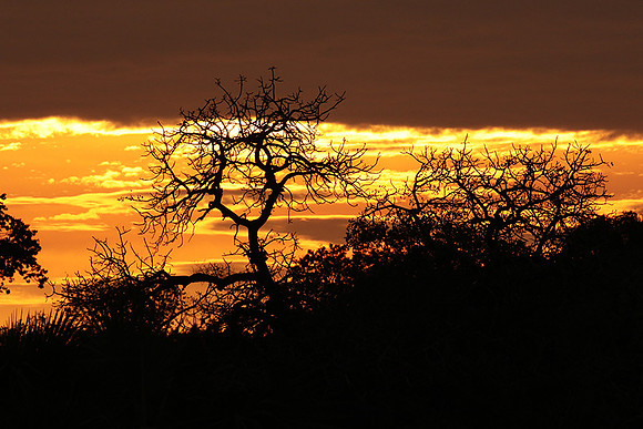 Sunset - Zelous