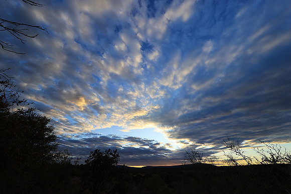 Sunset - Zelous