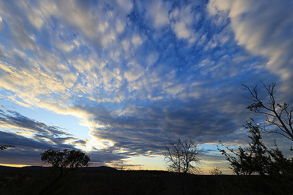 Sunset - Zelous