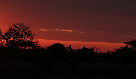 Sunset - Zelous