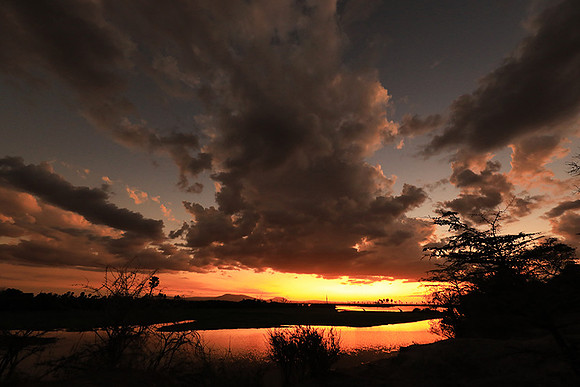 Sunset - Zelous