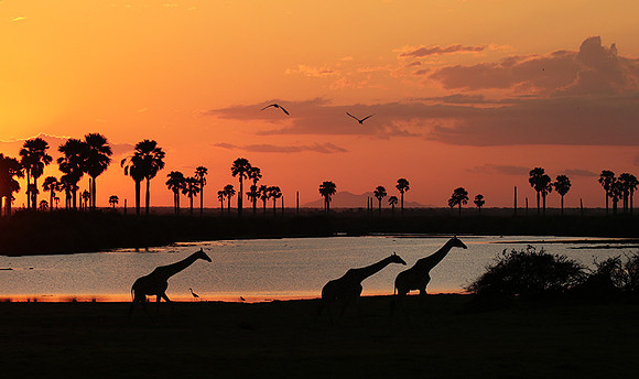 Sunset - Zelous