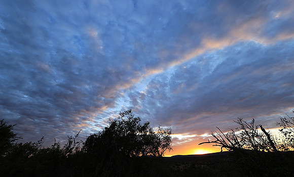 Sunset - Zelous