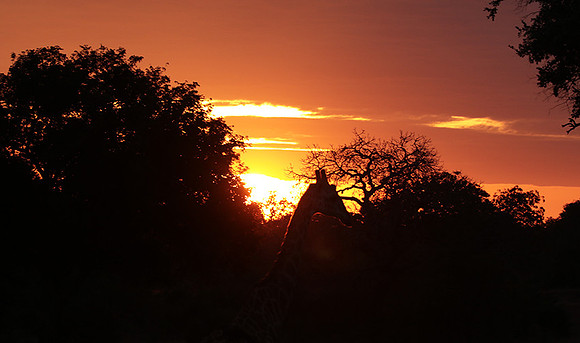 Sunset - Zelous