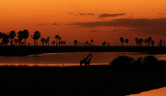 Sunset - Zelous