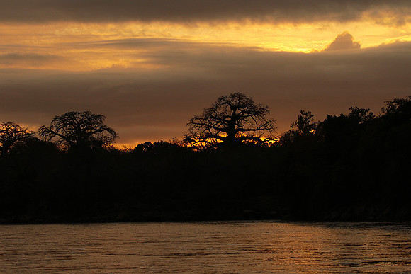 Sunset - Zelous