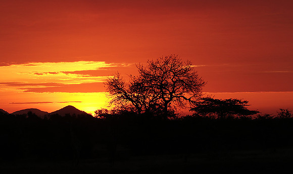 Sunset - Zelous