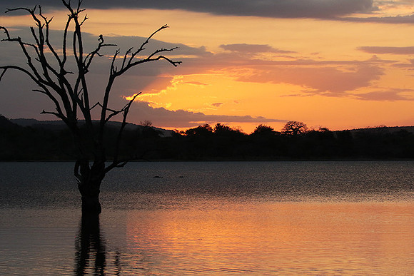 Sunset - Zelous