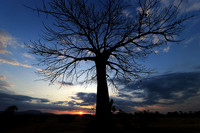 Sunset - Zelous