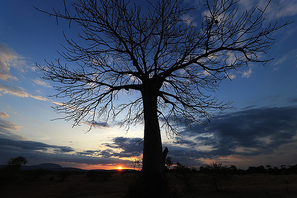 Sunset - Zelous