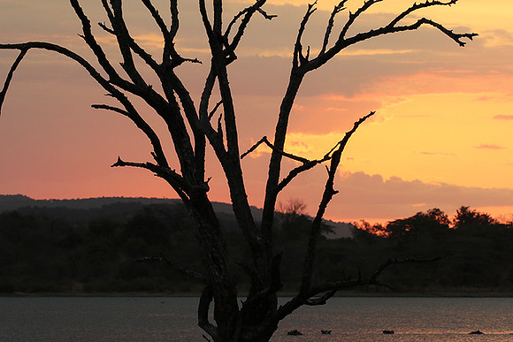Sunset - Zelous