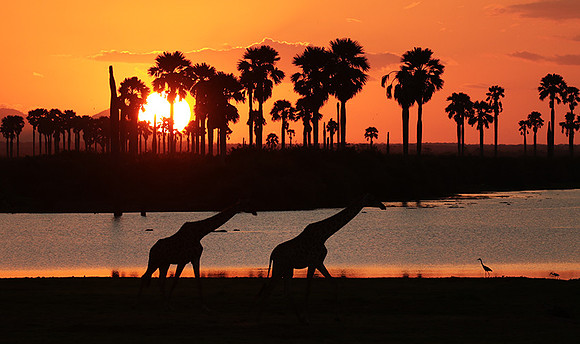 Sunset - Zelous