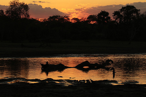 Sunset - Zelous