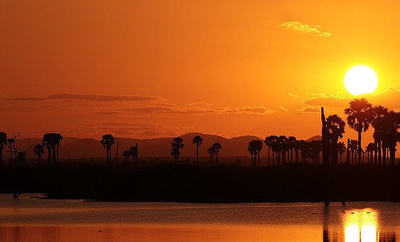 Sunset - Zelous