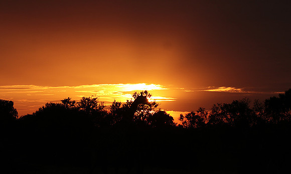 Sunset - Zelous