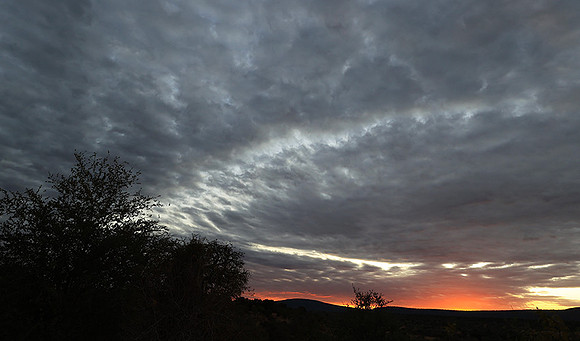 Sunset - Zelous