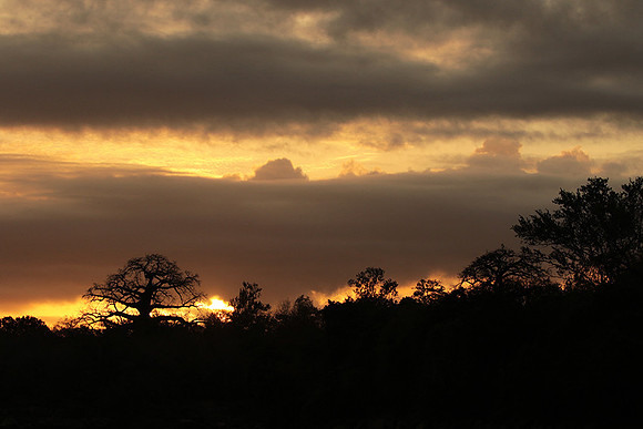 Sunset - Zelous