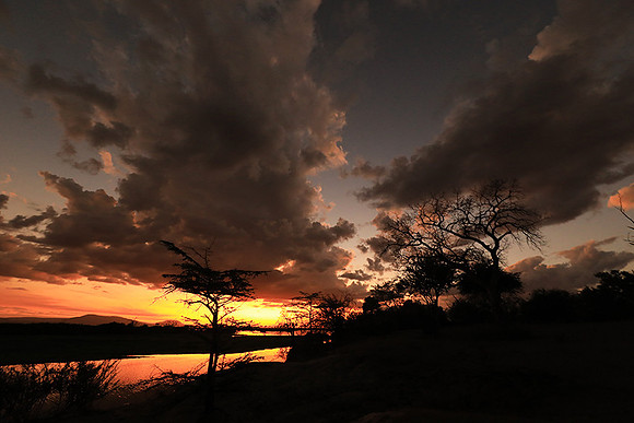 Sunset - Zelous
