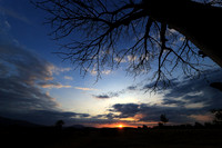 Sunset - Zelous