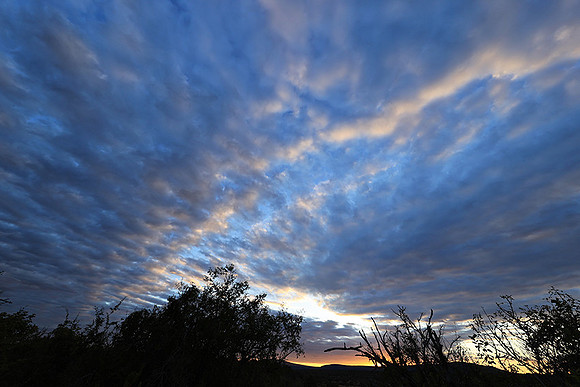 Sunset - Zelous