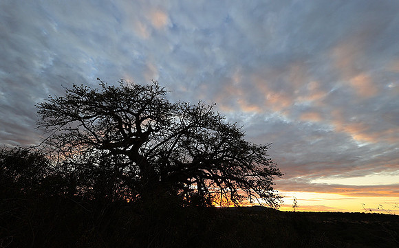 Sunset - Zelous