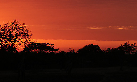 Sunset - Zelous