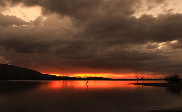 Sunset - Zelous