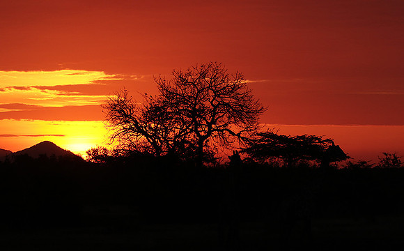 Sunset - Zelous