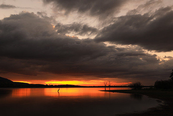 Sunset - Zelous