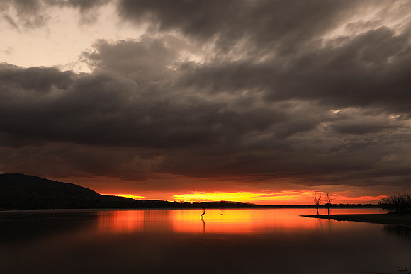 Sunset - Zelous