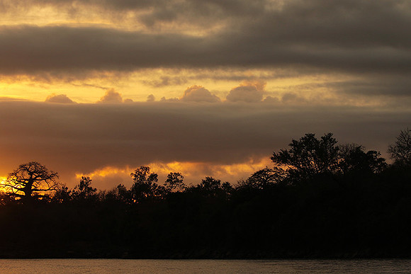 Sunset - Zelous