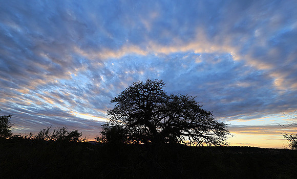 Sunset - Zelous