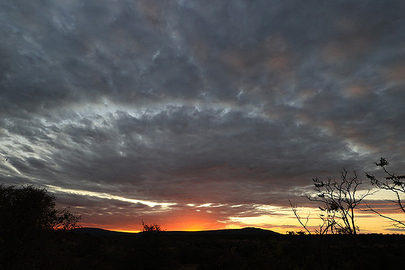 Sunset - Zelous